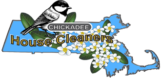 house cleaning